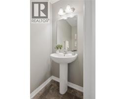 54 BANK SWALLOW Crescent - 10