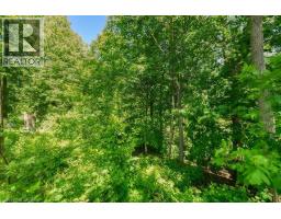 486 WINNIETT Street - 45