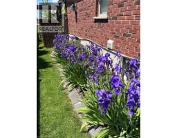 42 GRAYDON Drive - 28