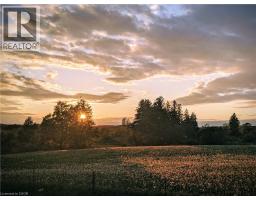 142 THEODORE SCHULER Boulevard - 49