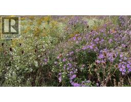 115 LARRY Crescent - 43