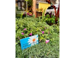 235 BUSH CLOVER Crescent - 44