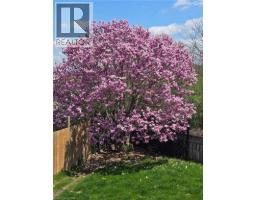 224 BREMBEL Court - 41