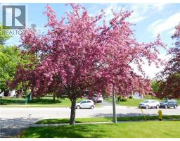 1166 HOMUTH Avenue - 3