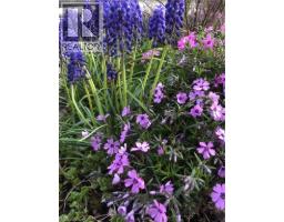 50 GREENWATER Street - 42