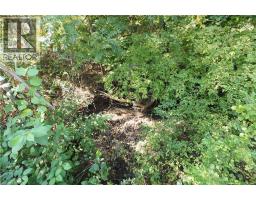 150 BREWERY Street - 2