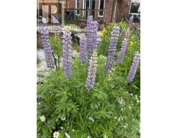 622 DOON SOUTH Drive - 48