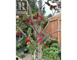 622 DOON SOUTH Drive - 49