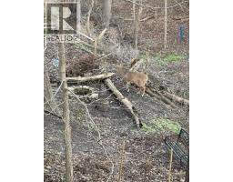 163 FOUNTAIN Street N - 6