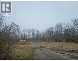 31 MCLAREN Street - 3