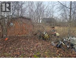 31 MCLAREN Street - 4