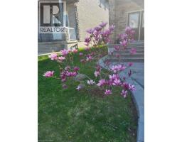 609 WOOLGRASS Avenue - 3