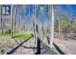 439 NORTHLAKE Drive - 41