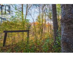 1296 MINERAL SPRINGS Road - 13