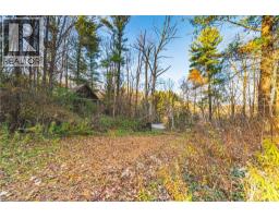 1296 MINERAL SPRINGS Road - 4