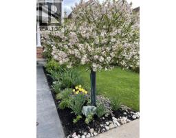 126 SNOWDROP Crescent - 36