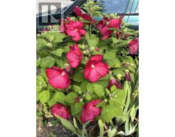 126 SNOWDROP Crescent - 38