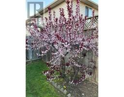 18 LANDON Avenue - 24