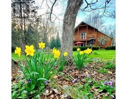 1859 4TH CONCESSION Road - 39