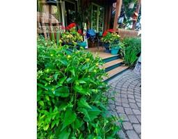 1859 4TH CONCESSION Road - 41