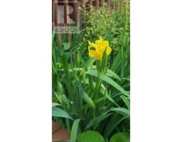 1859 4TH CONCESSION Road - 43