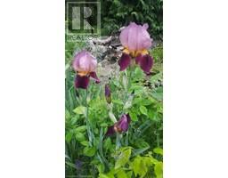 1859 4TH CONCESSION Road - 46