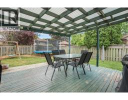 115 HEDGE MAPLE Path - 50