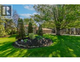 21095 VICTORIA ROAD - 3