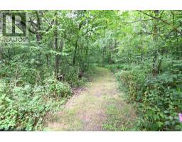 15895 Longwoods ROAD - 3