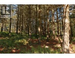 11179 Longwoods ROAD - 29