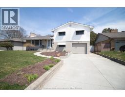 39 Wyandott STREET - 1