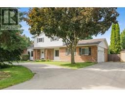 14 WILLCOX STREET - 2