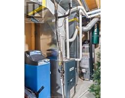 22 Mountain Maple COURT - 41