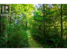 11630 Longwoods ROAD - 35