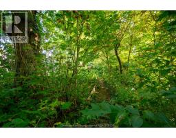11630 Longwoods ROAD - 36