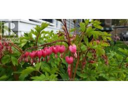 66 Delaware AVENUE - 37