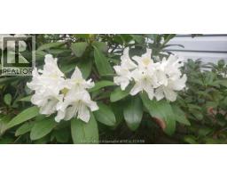 66 Delaware AVENUE - 38