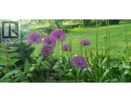 66 Delaware AVENUE - 39