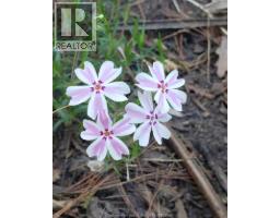 66 Delaware AVENUE - 42