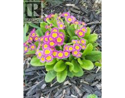 66 Delaware AVENUE - 43