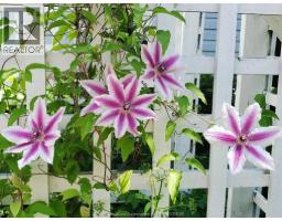 66 Delaware AVENUE - 45