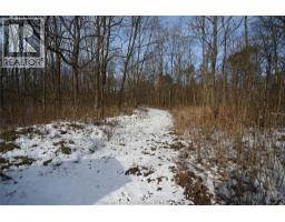 15895 Longwoods ROAD - 36