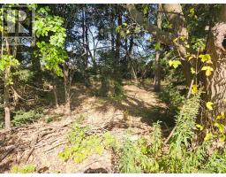 23040 DOHERTY STREET - 14