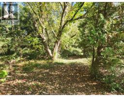 23040 DOHERTY STREET - 15