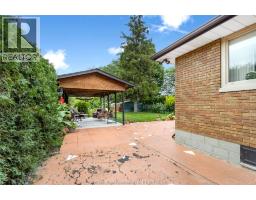 41 MAPLE STREET - 36