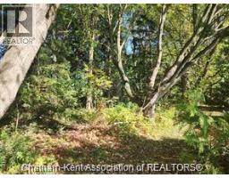23040 Doherty Street, MLS 26009853