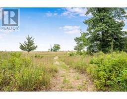 17386 Lakeshore ROAD - 26