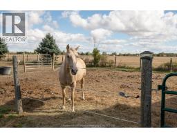 2352 OIL HERITAGE ROAD - 10