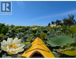 11527 LAGONDA WAY - 39