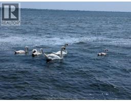 11527 LAGONDA WAY - 41